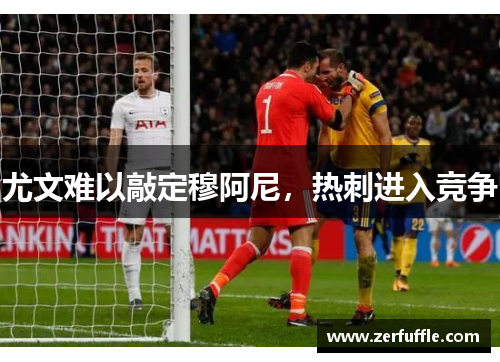 尤文难以敲定穆阿尼，热刺进入竞争